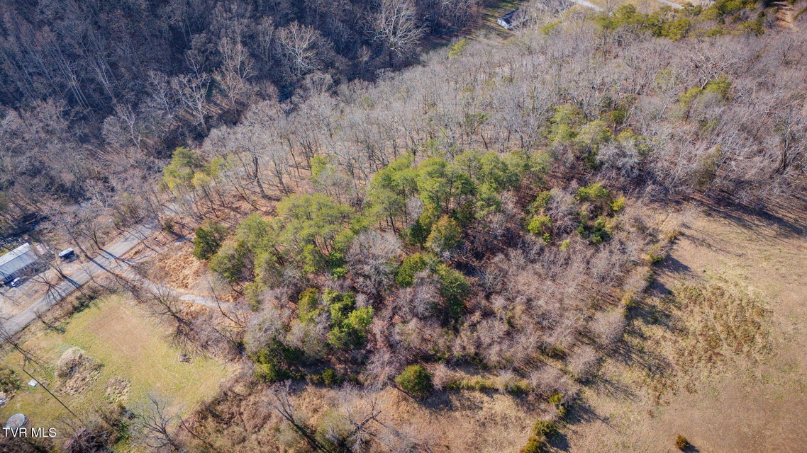 Photo #14: Tbd Whitehouse Road