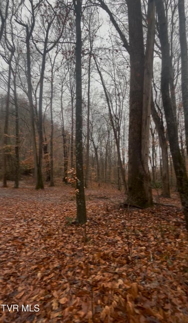 Photo #16: 0 Brair Fork Road