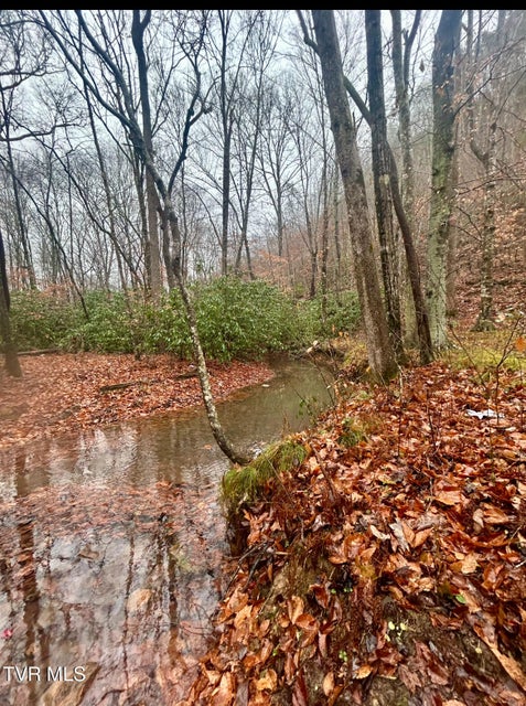 Photo #15: 0 Brair Fork Road