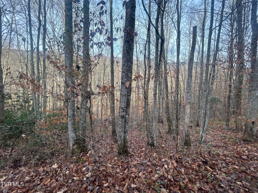 Photo #23: 0 Brair Fork Road