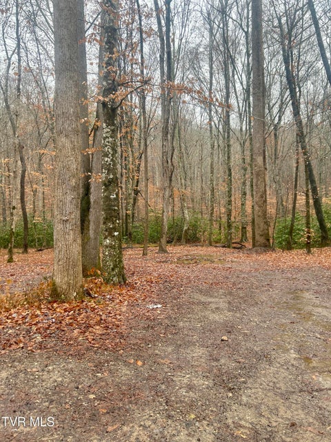 Photo #10: 0 Brair Fork Road