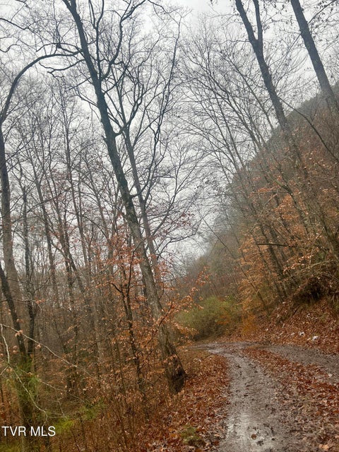 Photo #14: 0 Brair Fork Road