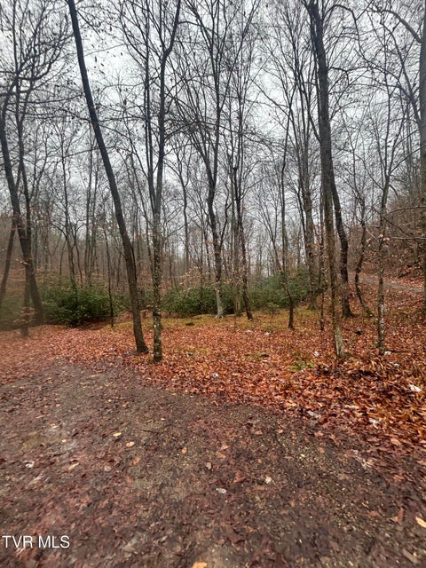 Photo #8: 0 Brair Fork Road