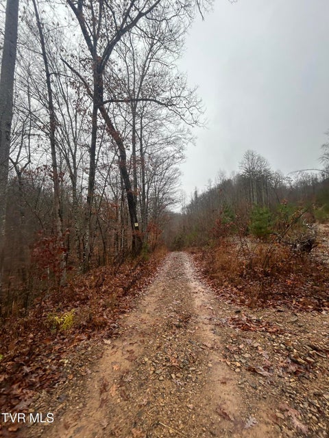 Photo #13: 0 Brair Fork Road