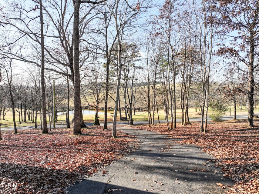 Photo #87: 534 White Oak Circle