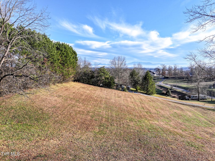 Photo #98: 534 White Oak Circle