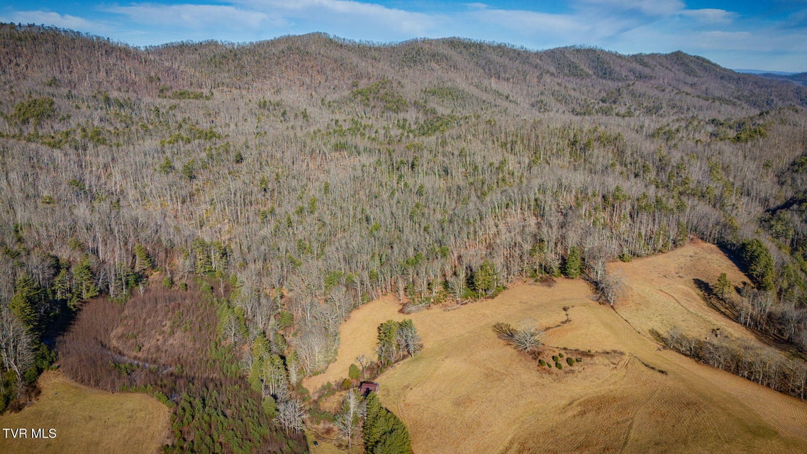 Photo #9: Tbd Waters Road