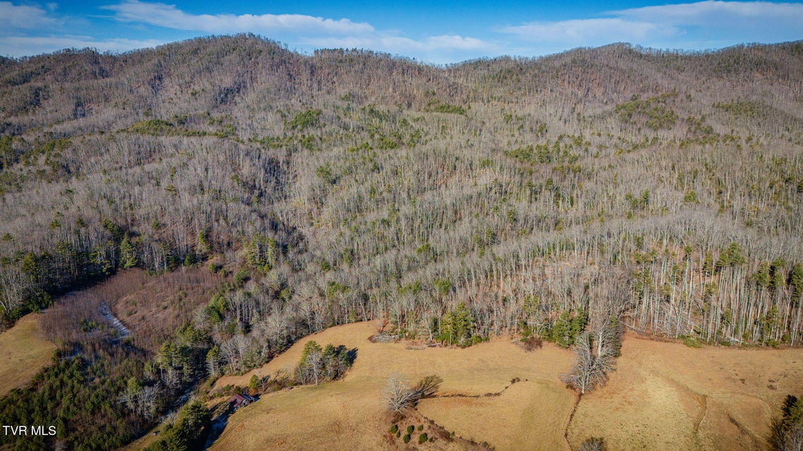 Photo #10: Tbd Waters Road