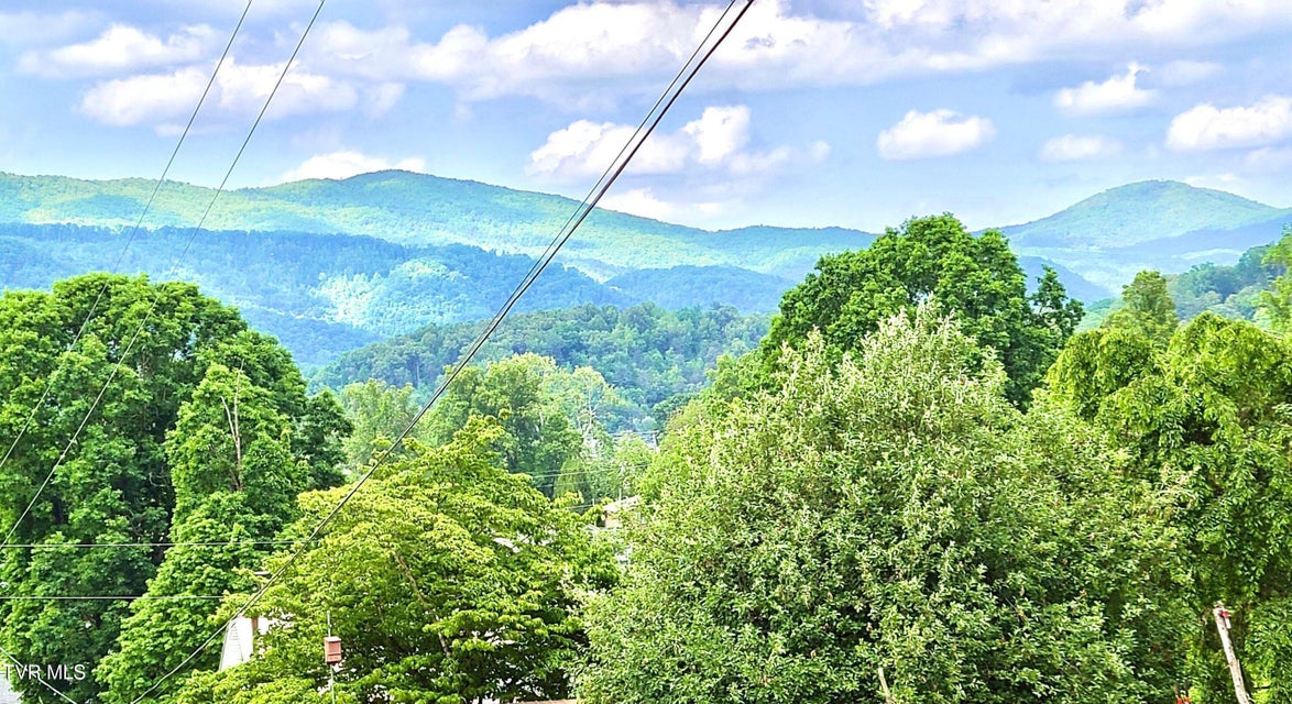 Photo #4: Tbd Masters St Extension