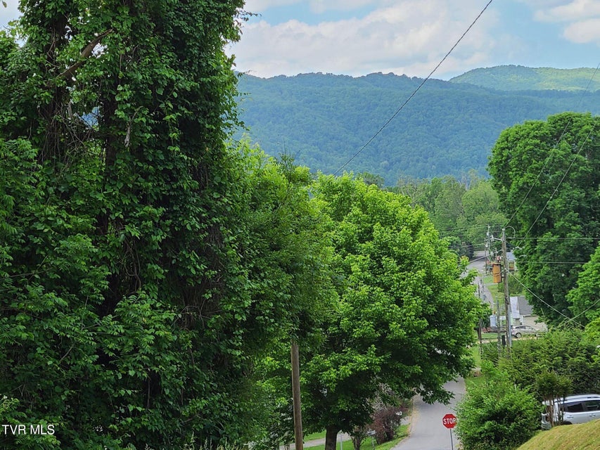 Photo #5: Tbd Masters St Extension