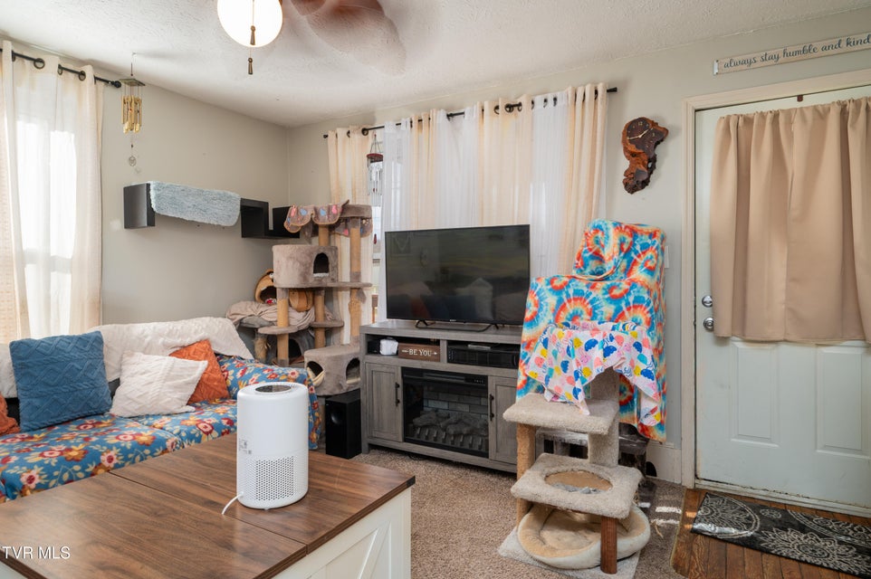 Photo #10: 4255 Bluff City Highway