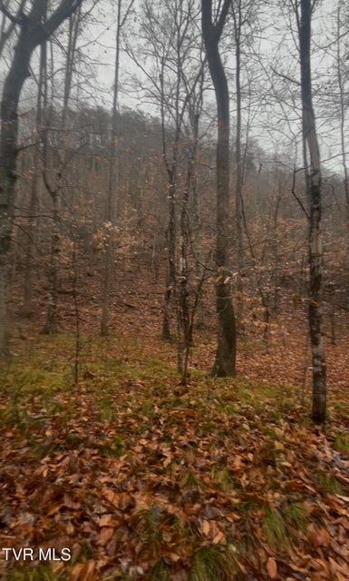 Photo #22: 0 Brair Fork Road