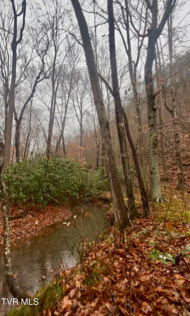 Photo #21: 0 Brair Fork Road