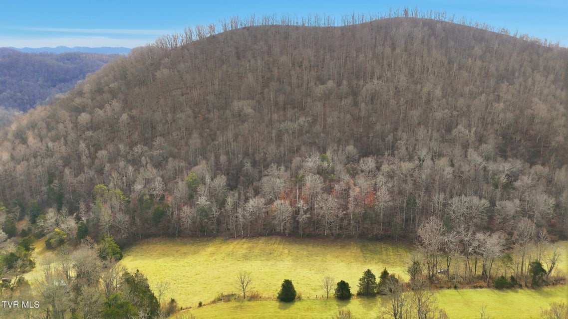 Photo #13: Tba Kingdom Rd 