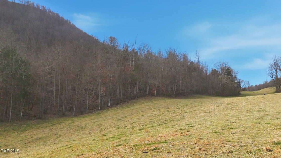 Photo #7: Tba Kingdom Rd 