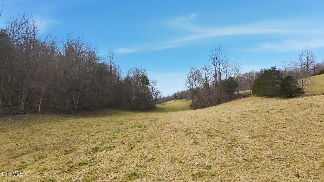 Photo #8: Tba Kingdom Rd 