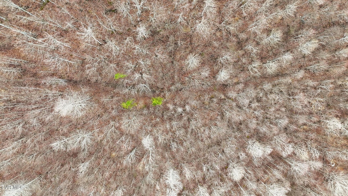 Photo #16: Tba Kingdom Rd 