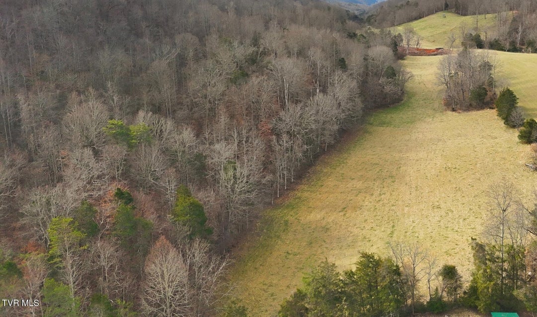 Photo #6: Tba Kingdom Rd 