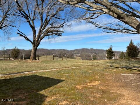 Photo #17: 2616 Mimosa Lane