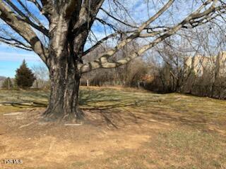 Photo #16: 2616 Mimosa Lane