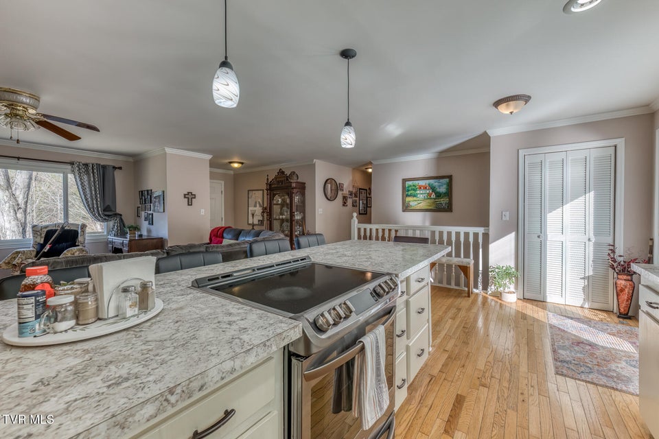 Photo #13: 1875 Powder Branch Road