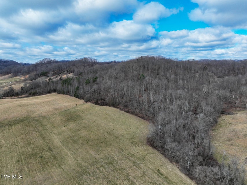 Photo #7: 3203 Gate City Highway