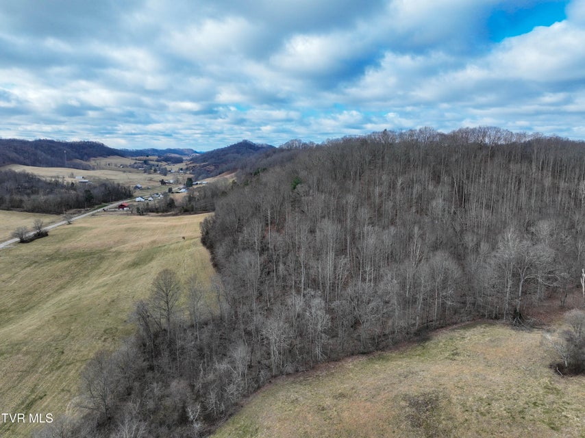 Photo #8: 3203 Gate City Highway