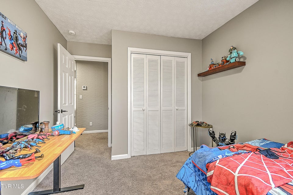 Photo #26: 441 Skyline Drive