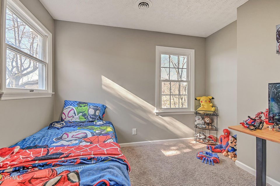 Photo #27: 441 Skyline Drive