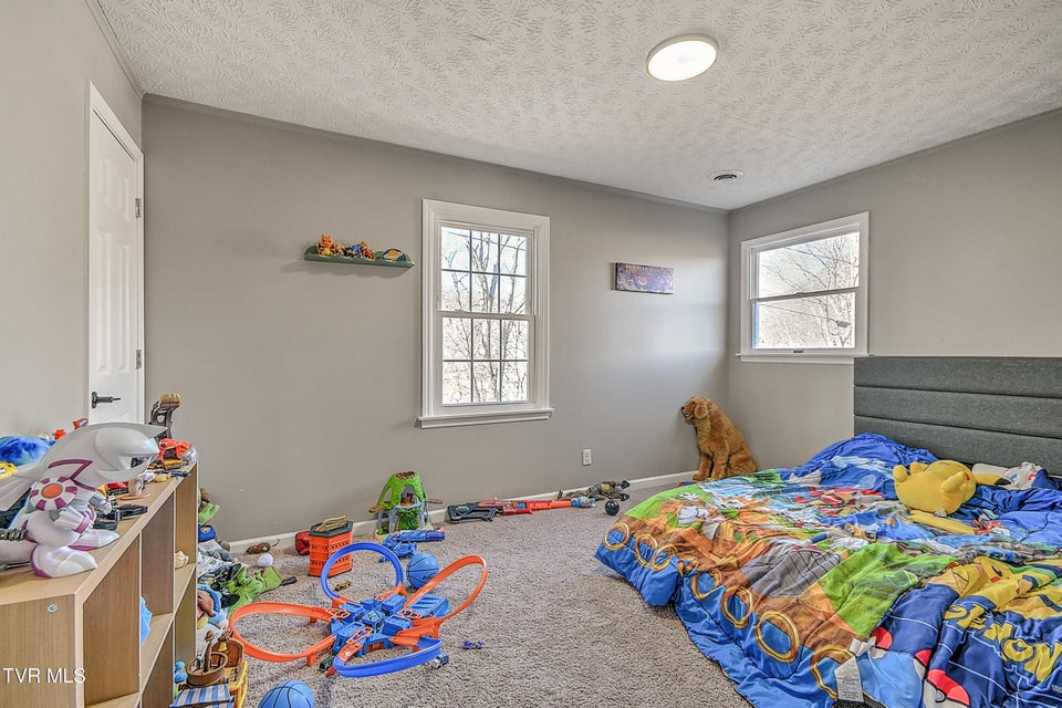 Photo #31: 441 Skyline Drive