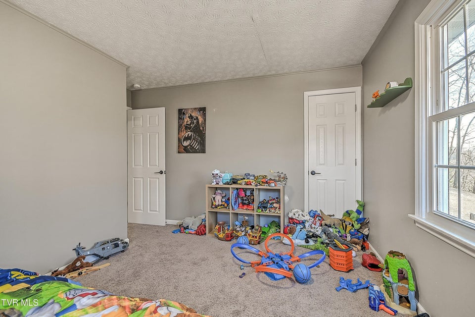 Photo #32: 441 Skyline Drive