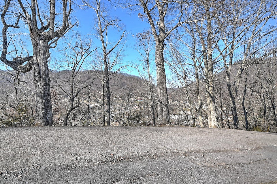 Photo #34: 441 Skyline Drive