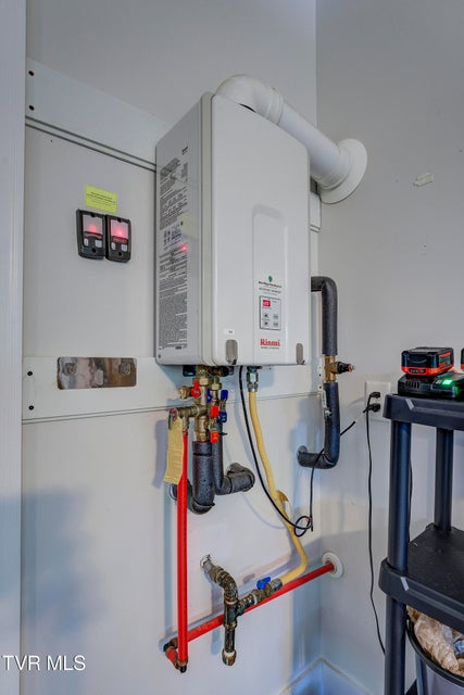 Photo #52: 365 English Ivy Trail