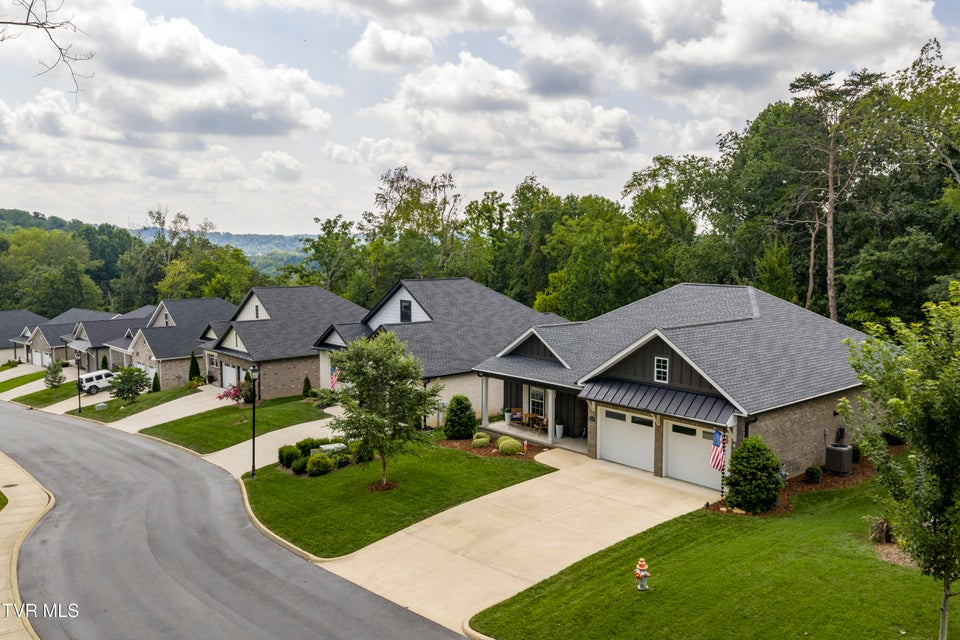 Photo #56: 365 English Ivy Trail