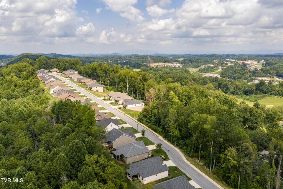 Photo #59: 365 English Ivy Trail