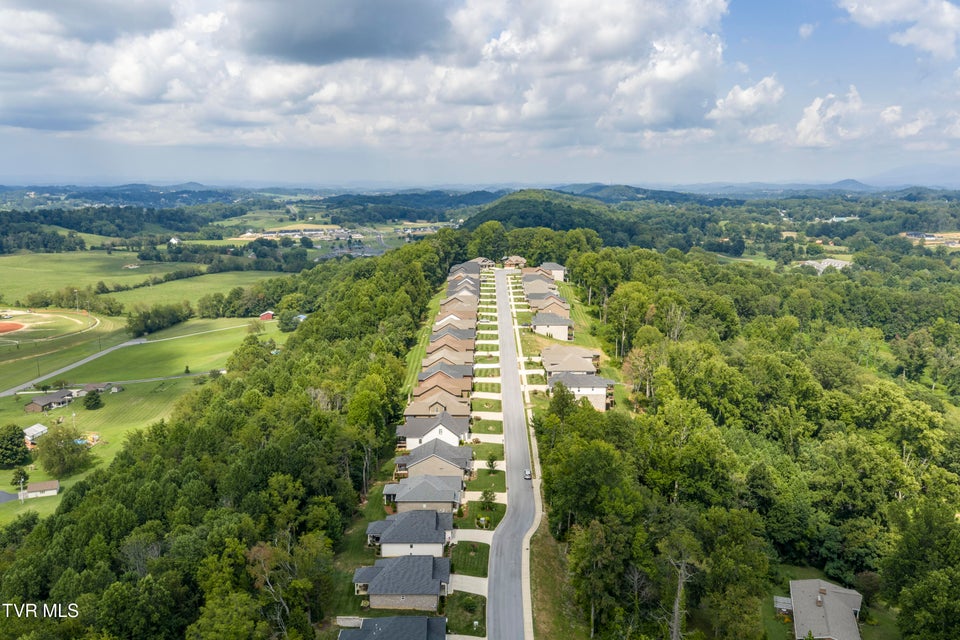 Photo #60: 365 English Ivy Trail