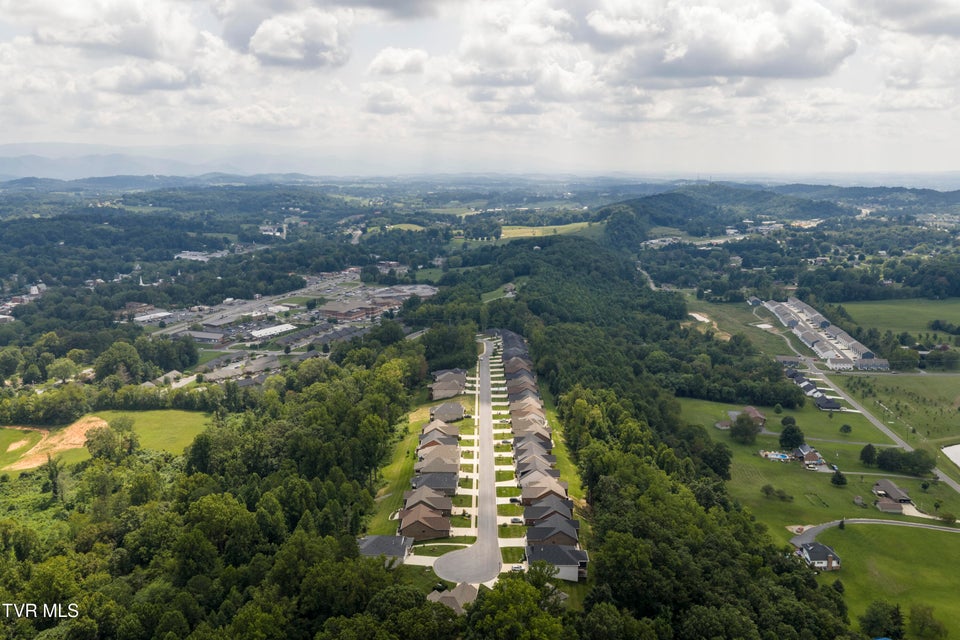 Photo #65: 365 English Ivy Trail