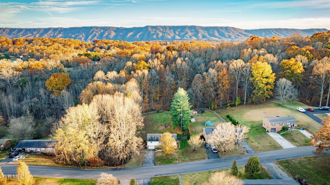 Photo #33: 432 Poplar Street