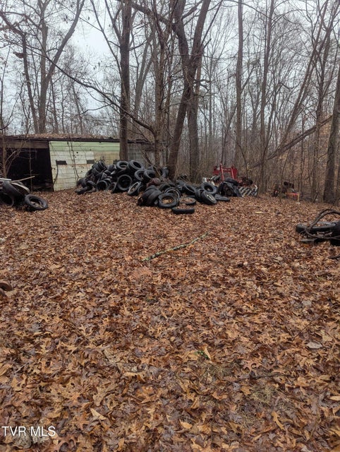 Photo #2: 0 Off Ross Camp Ground Road