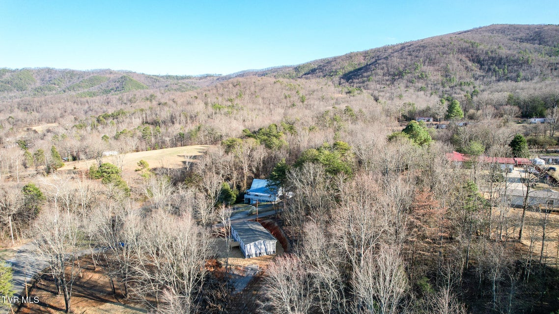 Photo #37: 1512 Red Bud Dr 