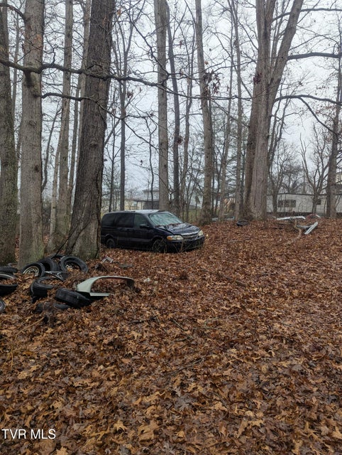 Photo #2: 000 Off Ross Camp Ground Road