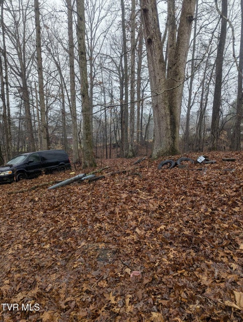 Photo #3: 000 Off Ross Camp Ground Road