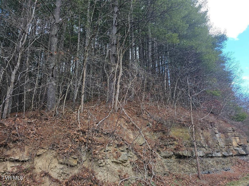 Photo #5: 10402 Right Fork Road