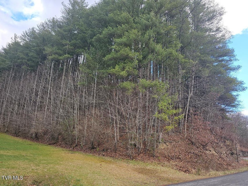 Photo #6: 10402 Right Fork Road