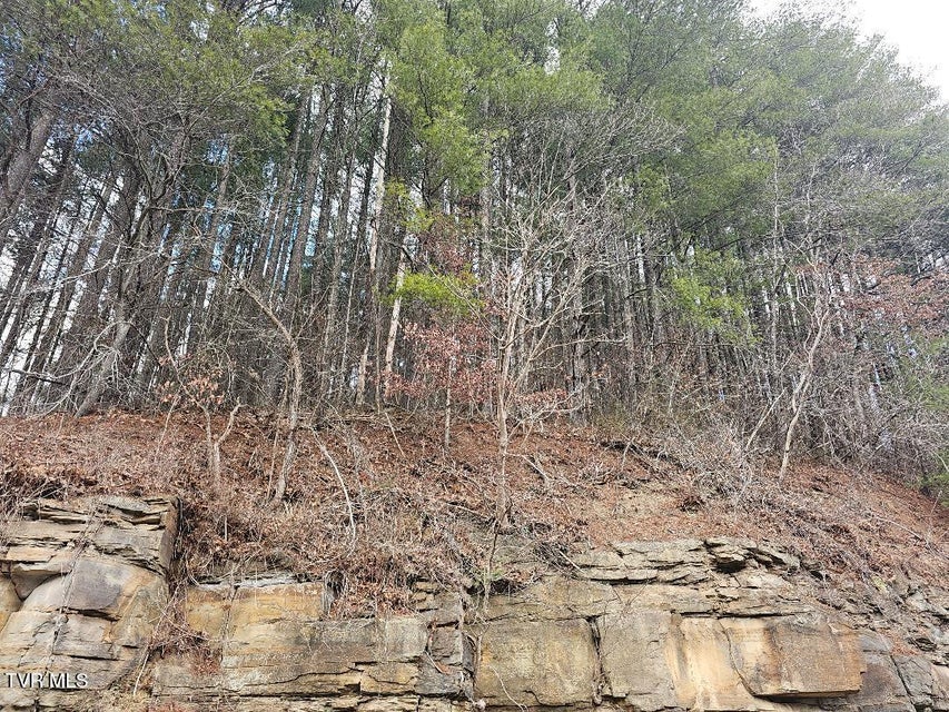 Photo #7: 10402 Right Fork Road