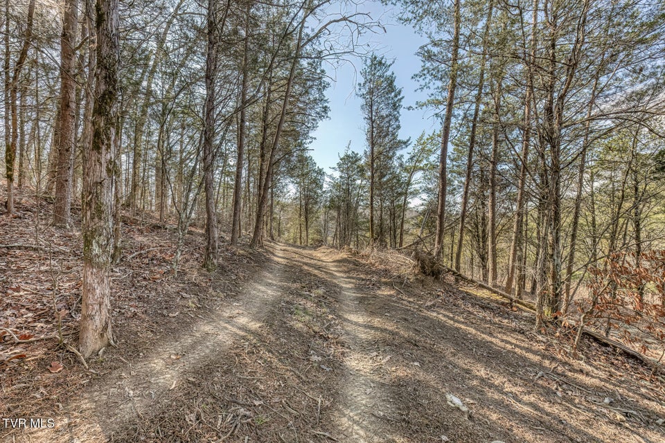 Photo #59: 193 Fork Branch Road