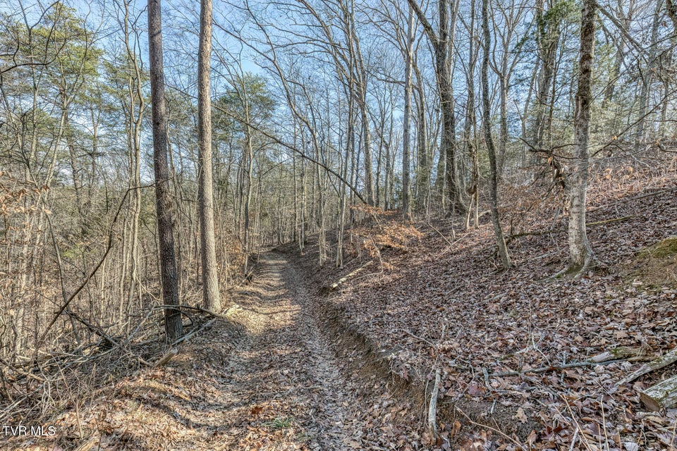 Photo #31: 195 Fork Branch Road