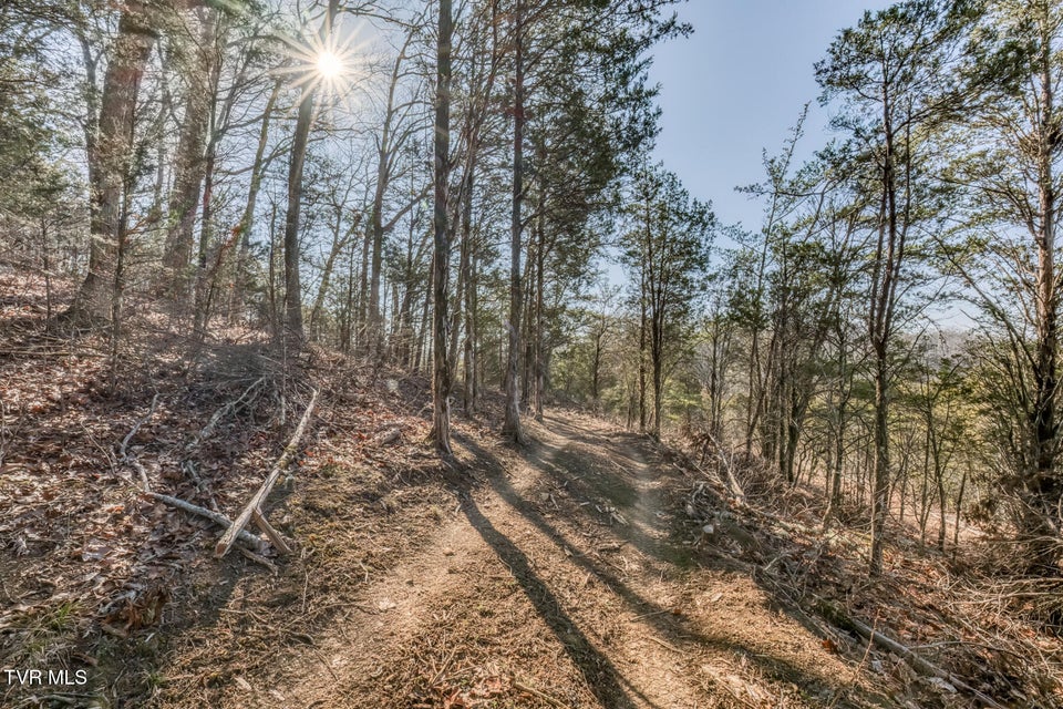 Photo #33: 195 Fork Branch Road