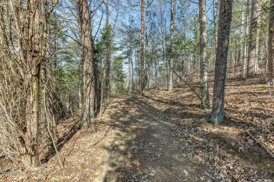 Photo #34: 195 Fork Branch Road