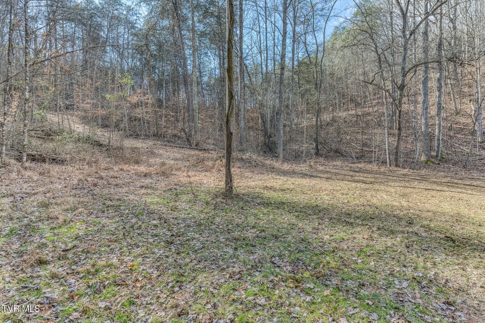 Photo #36: 195 Fork Branch Road